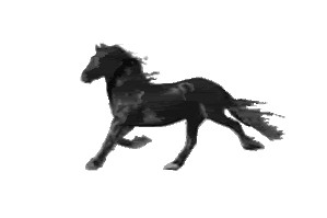 Cursor GIF